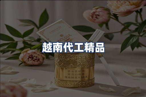 越南代工精品